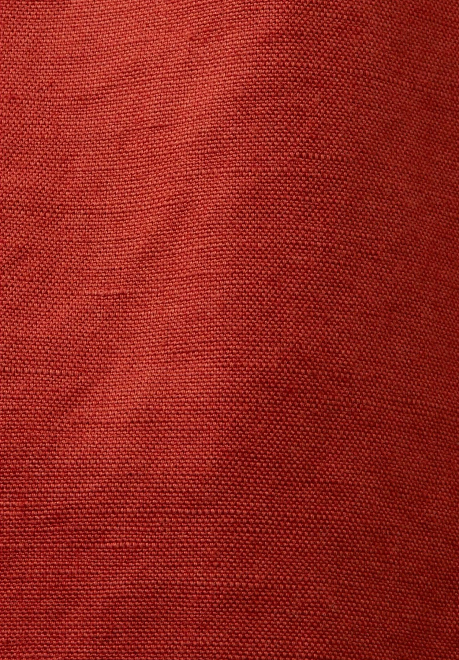 ESPRIT Pull On - Shorts - Terracotta New - Imagen 11