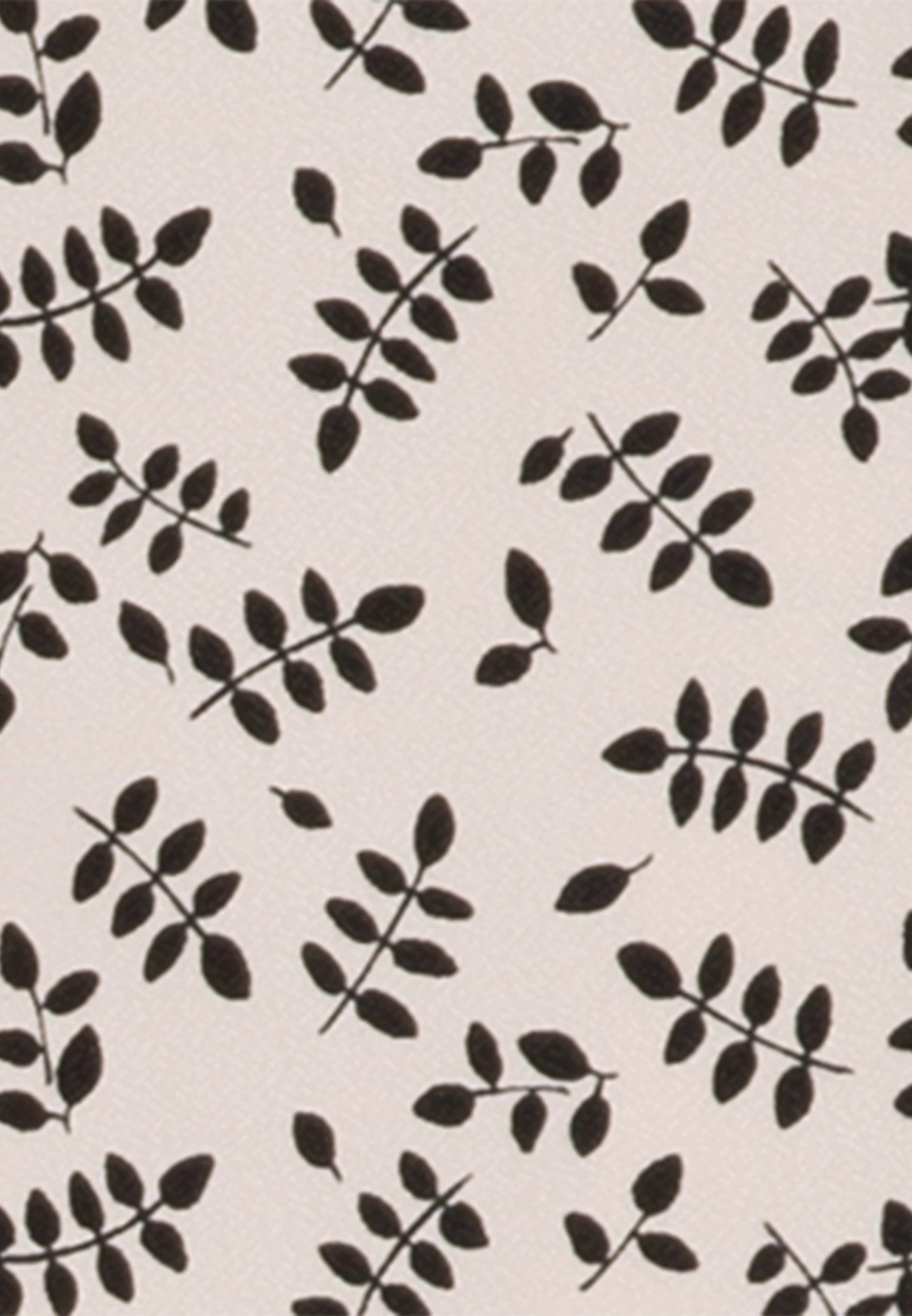 Seidensticker Schwarze Rose - Camisa - Ecru - Imagen 7